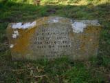 image of grave number 19478